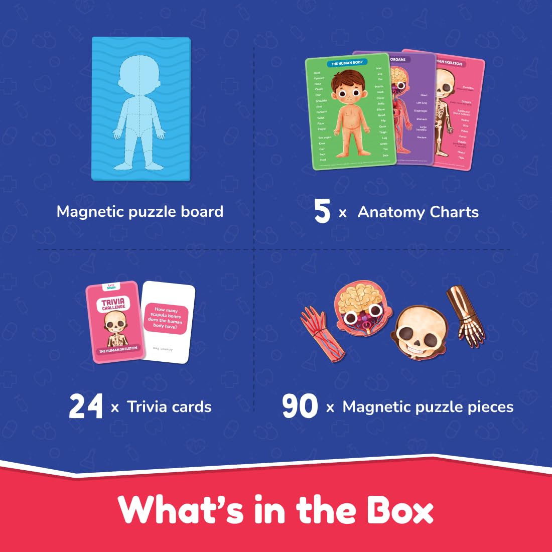 Bloomingo My Super Human Body: 5 Interactive Layers with 90 Magnetic Puzzle Pieces to Learn About The Human Skeleton Muscles & Organs | STEM Educational Science Toy Best Birthday Gift for Kids Age 5+