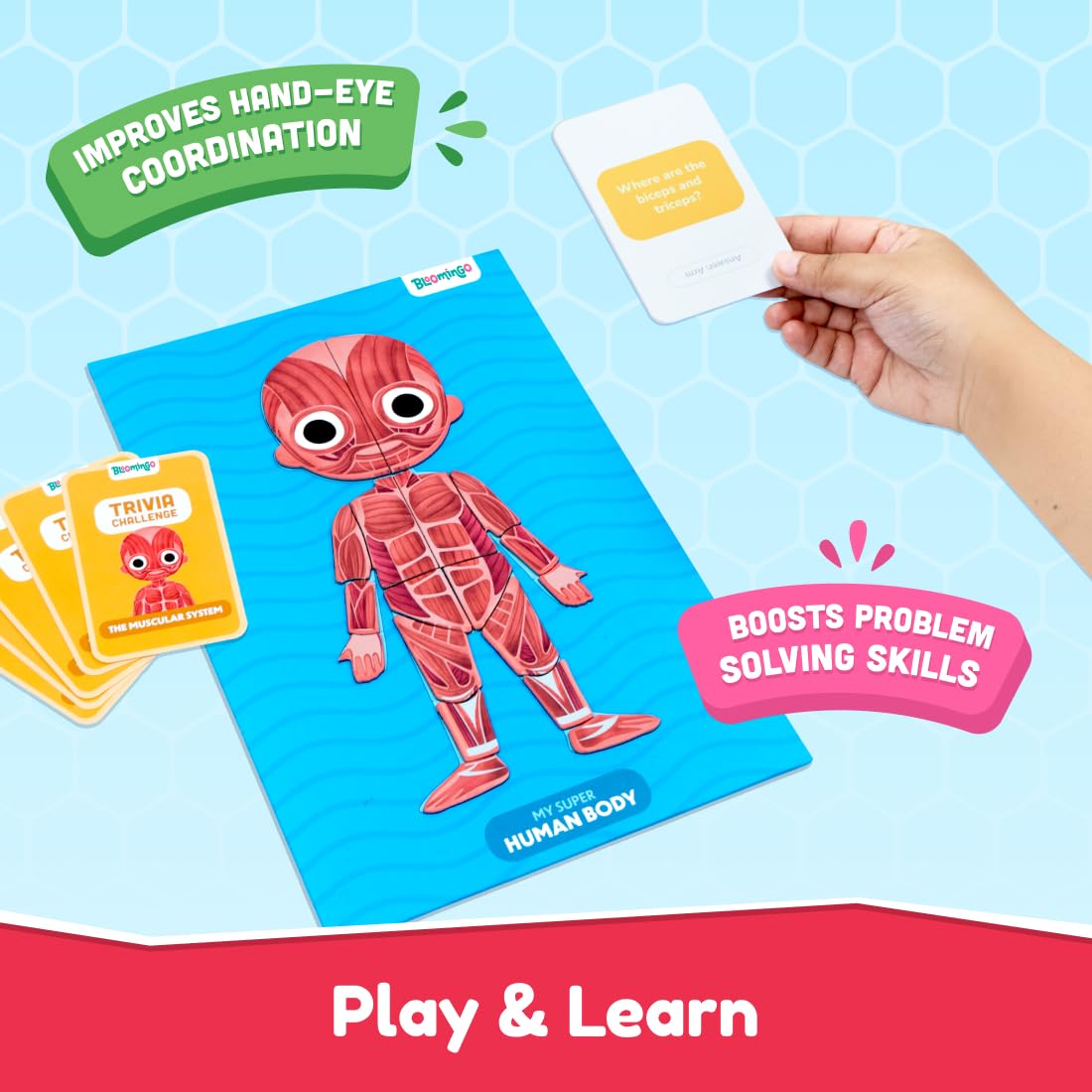 Bloomingo My Super Human Body: 5 Interactive Layers with 90 Magnetic Puzzle Pieces to Learn About The Human Skeleton Muscles & Organs | STEM Educational Science Toy Best Birthday Gift for Kids Age 5+