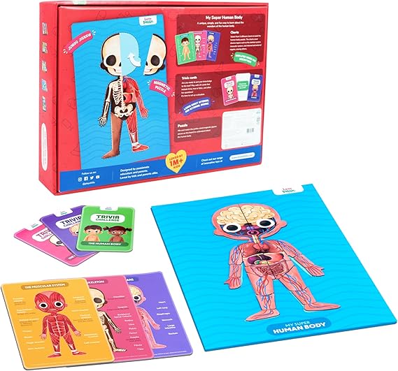 Bloomingo My Super Human Body: 5 Interactive Layers with 90 Magnetic Puzzle Pieces to Learn About The Human Skeleton Muscles & Organs | STEM Educational Science Toy Best Birthday Gift for Kids Age 5+