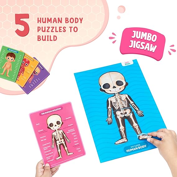 Bloomingo My Super Human Body: 5 Interactive Layers with 90 Magnetic Puzzle Pieces to Learn About The Human Skeleton Muscles & Organs | STEM Educational Science Toy Best Birthday Gift for Kids Age 5+