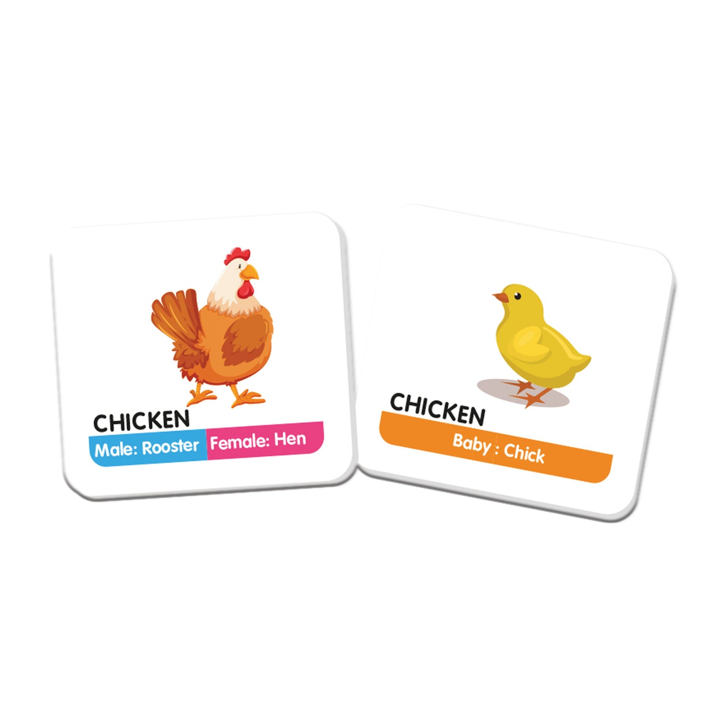 Funskool Games Memory Animal Family, Educational matching picture game for children, kids & family, 1 - 4 players, Ages 5 and above