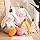 Storescent Reversible Carrot Bunny Plush Toy, Adorable & Versatile Stuffed Animal with Zipper - Soft Rabbit Toy, Pillow & Decorative Gift (Carrot Bunny 30CM)