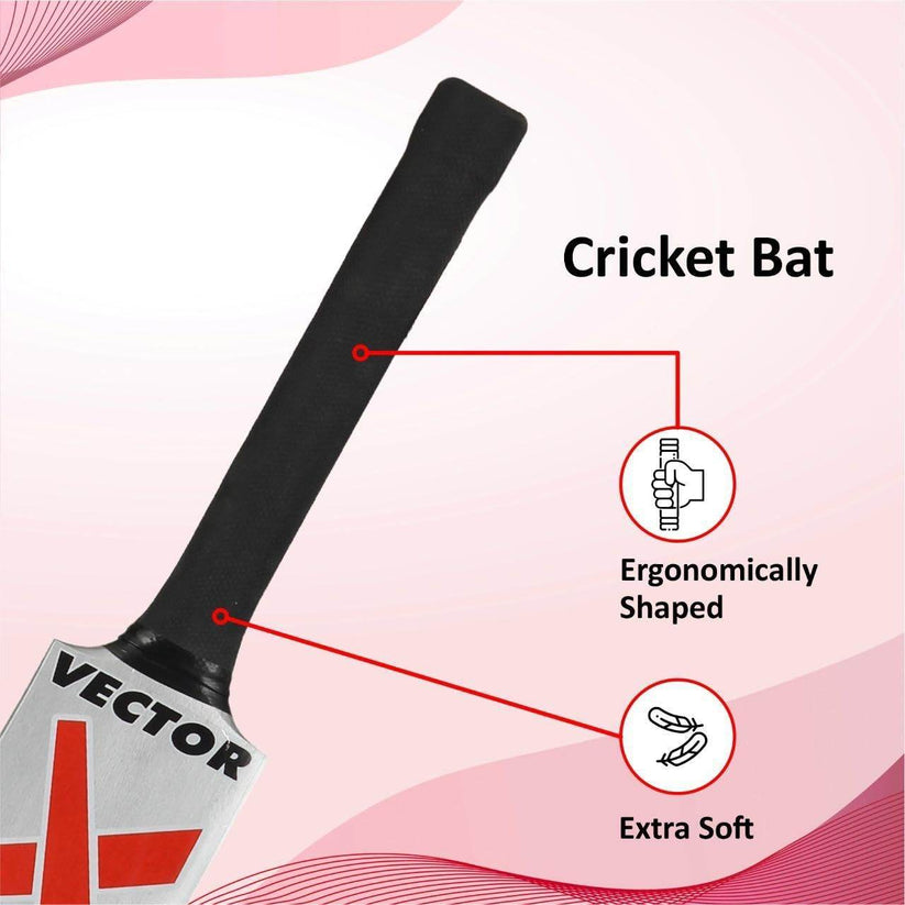 T-Rex the Toyland Outdoor Wooden Cricket Set for Kids