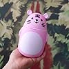 BABY ISLAND Baby Tiger Glass Flask | Cute Creative Cartoon Travel Flask, Hot & Cold Thermos Flask for Coffee, Shakes & Juice | 300 ml (Pink Baby Tiger)