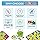 toymate Hide & Seek Transport-Fun Brain Teasing Award Winning Game For 8 Years & Abovefor Adult|Pack of 5