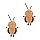 BNF®Cockroach Plush Toy Cute Cockroach Stuffed Animal for Children Family Adults A|Baby | Toys for Baby | Plush Baby Toys|1 Cockroach Plush Toy