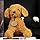 HPOSAN Dog Stuffed Animals Soft Huggable Golden Retriever Plush Dog Plushie 12" Puppy Plush Toy Sleeping Plush Body Pillow for for Kids Boys Girls Birthday Christmas Bedtime Gift