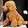 HPOSAN Dog Stuffed Animals Soft Huggable Golden Retriever Plush Dog Plushie 12" Puppy Plush Toy Sleeping Plush Body Pillow for for Kids Boys Girls Birthday Christmas Bedtime Gift