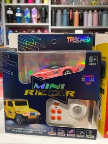 Trasped Mini RC Car Metal Alloy Remote Control Racing Car