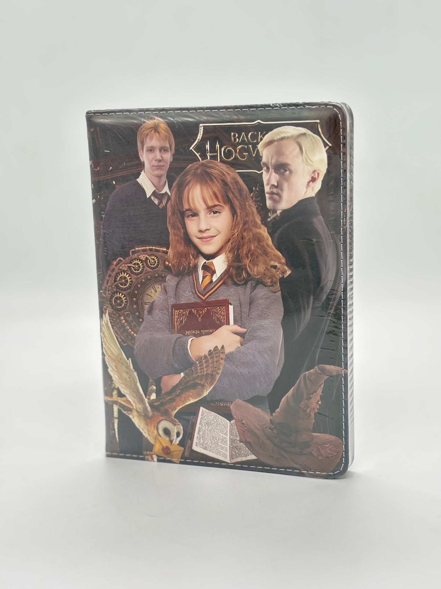 Harry Potter Diary