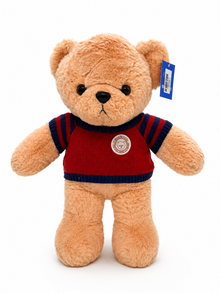 Sweater Teddy Bear Plush Toy 50cm