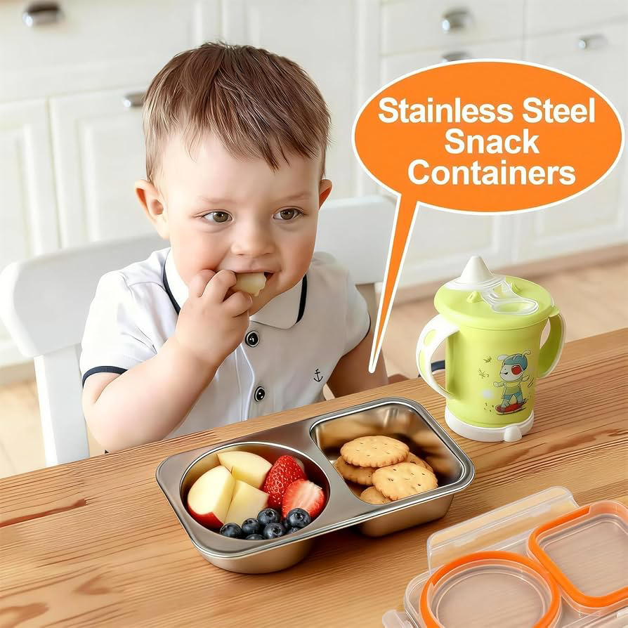 Stainless Steel 2-Compartment Snack & Lunch Box (450ml)