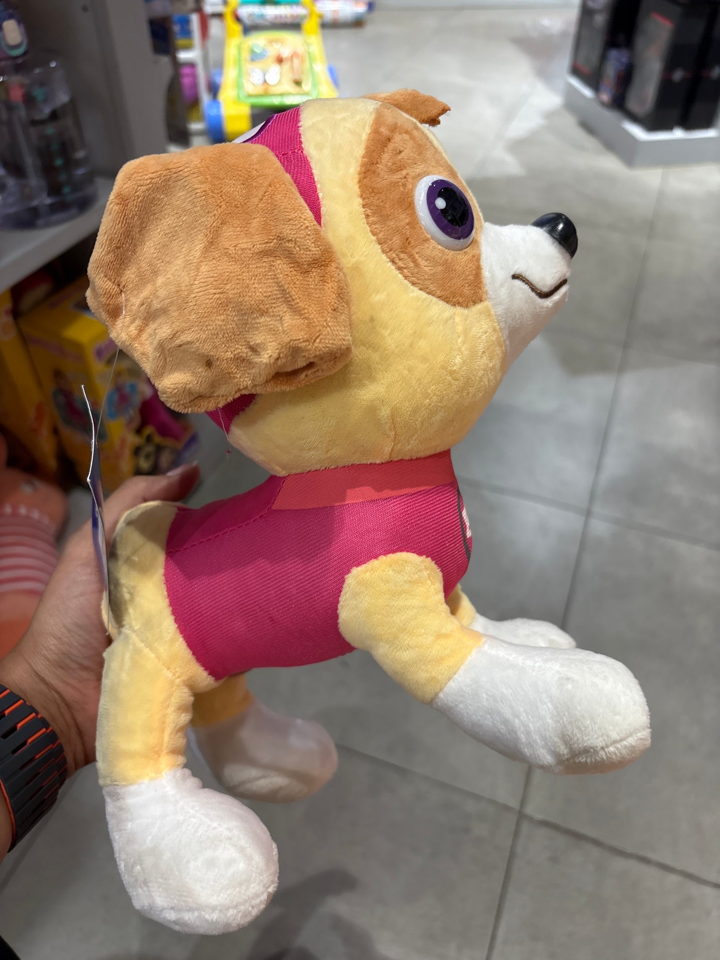 Paw Patrol Mini Plush Pups, Rocky