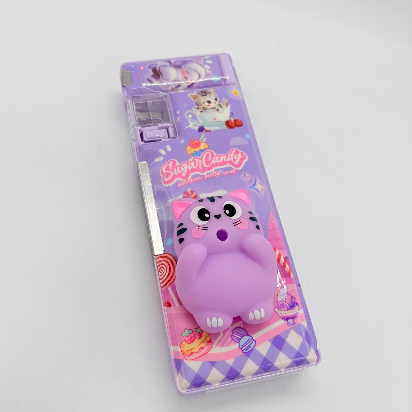 Cat and Dino Magnetic Compass Box
