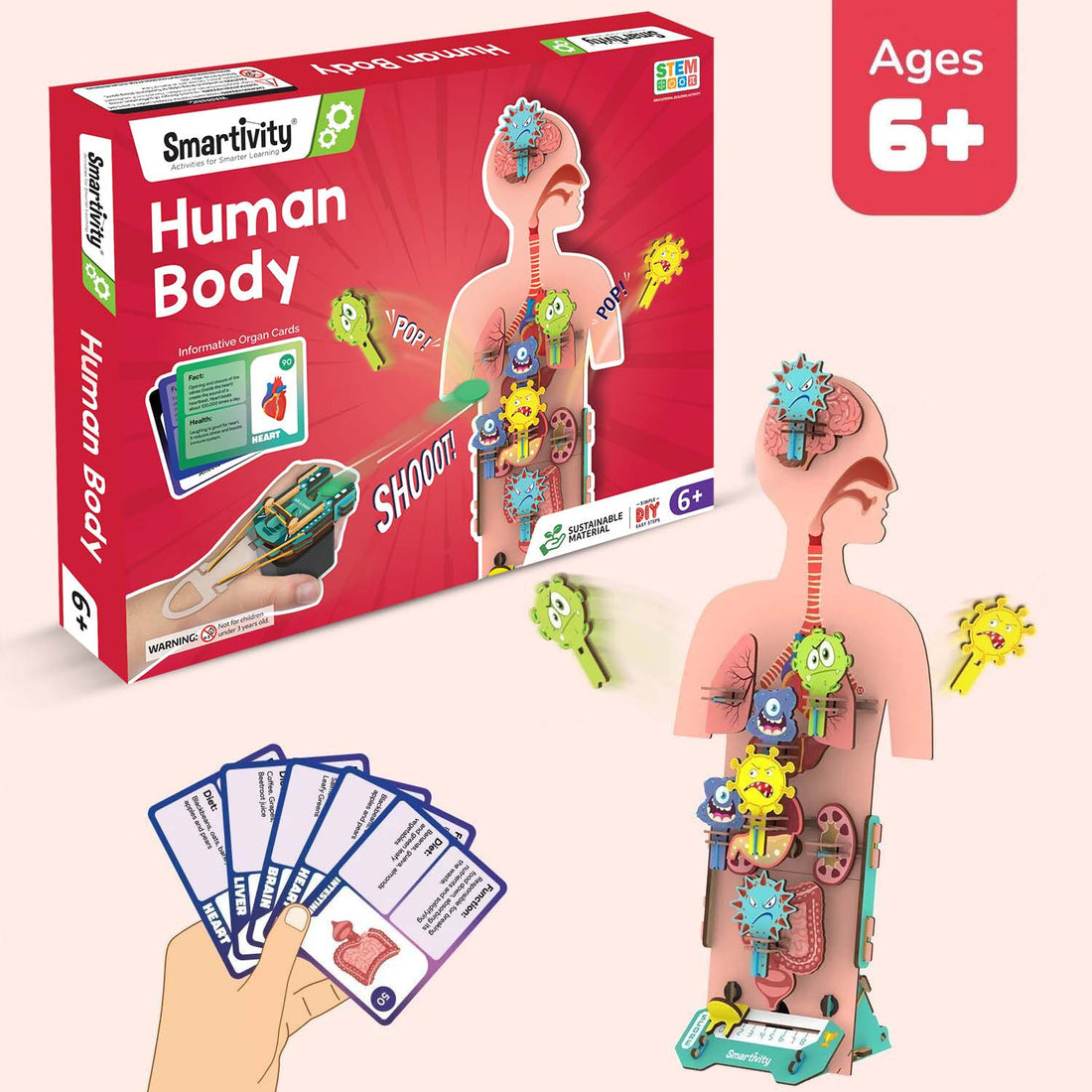 Smartivity Activities Human Body