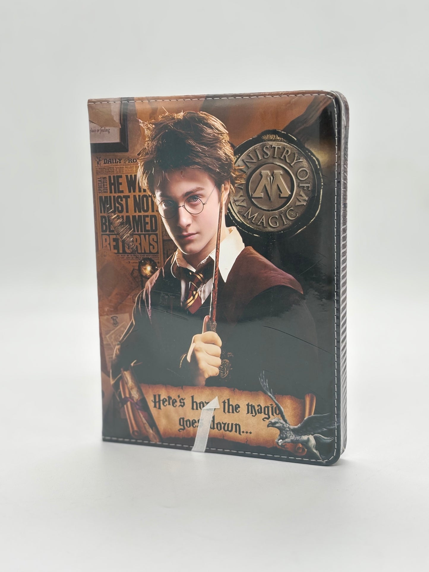 Harry Potter Diary