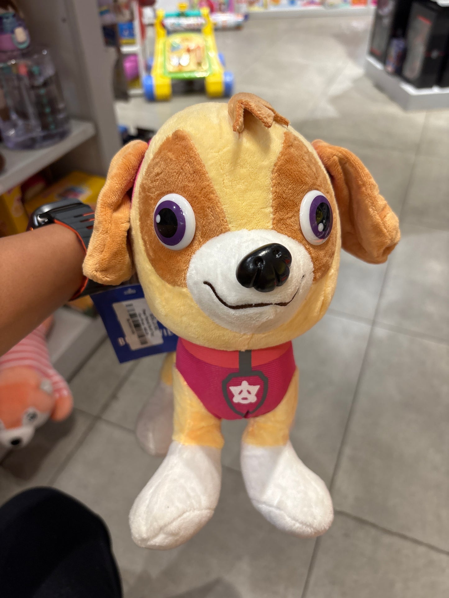 Paw Patrol Mini Plush Pups, Rocky