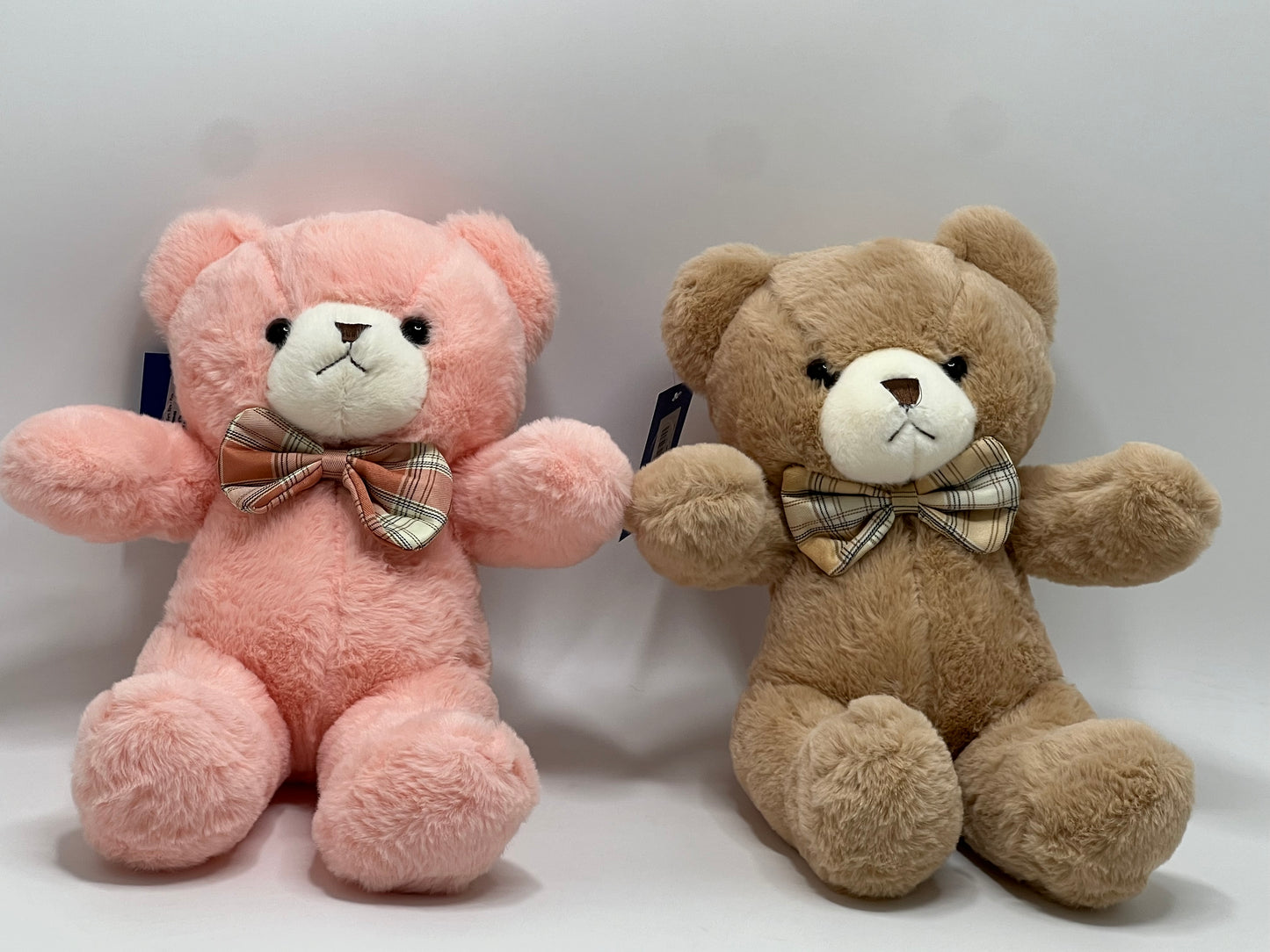 Teddy with Bow Medium Size Soft Toy