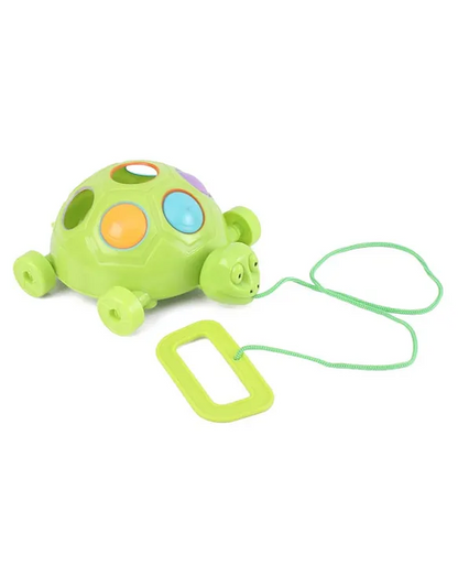 Slide, Pop & Pull Turtle Toy – 2-in-1