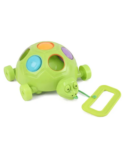 Slide, Pop & Pull Turtle Toy – 2-in-1