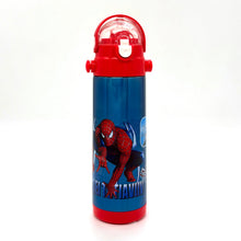Marvel and Disney Characters Insulated Water Bottle with Straw 500ml