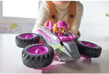 Funskool Paw Patrol Skye Rescue Wheels Jet Truck