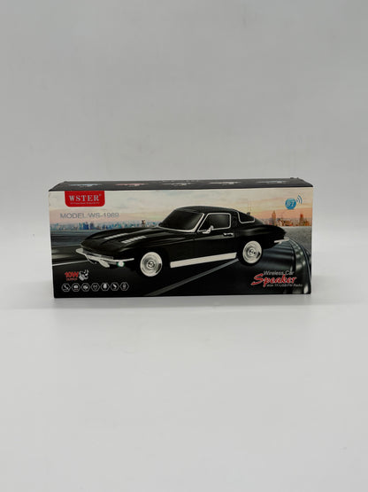 WSTER WS -1969  Portable Wireless Speaker With TF/USB/FM Radio Car