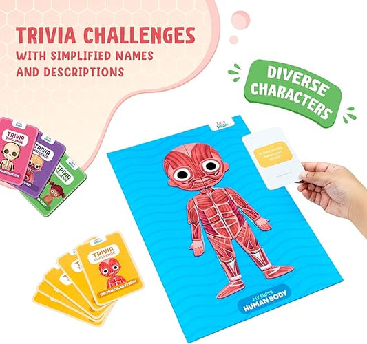 Bloomingo My Super Human Body: 5 Interactive Layers with 90 Magnetic Puzzle Pieces to Learn About The Human Skeleton Muscles & Organs | STEM Educational Science Toy Best Birthday Gift for Kids Age 5+