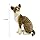 ATORSE™ Cute Cats Plush Doll Comfortable Lovely Stuffed Animals for Office Sofa Home|Baby | Toys for Baby | Plush Baby Toys