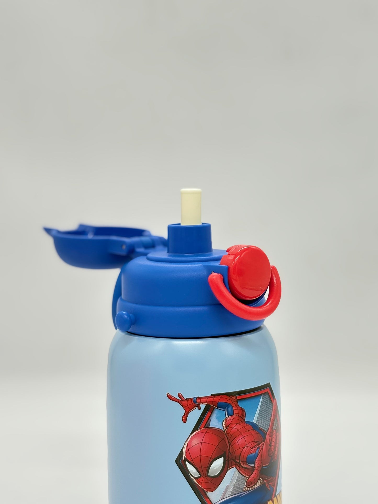 Insulated Stainless Steel Sipper Bottle - 800 ml
