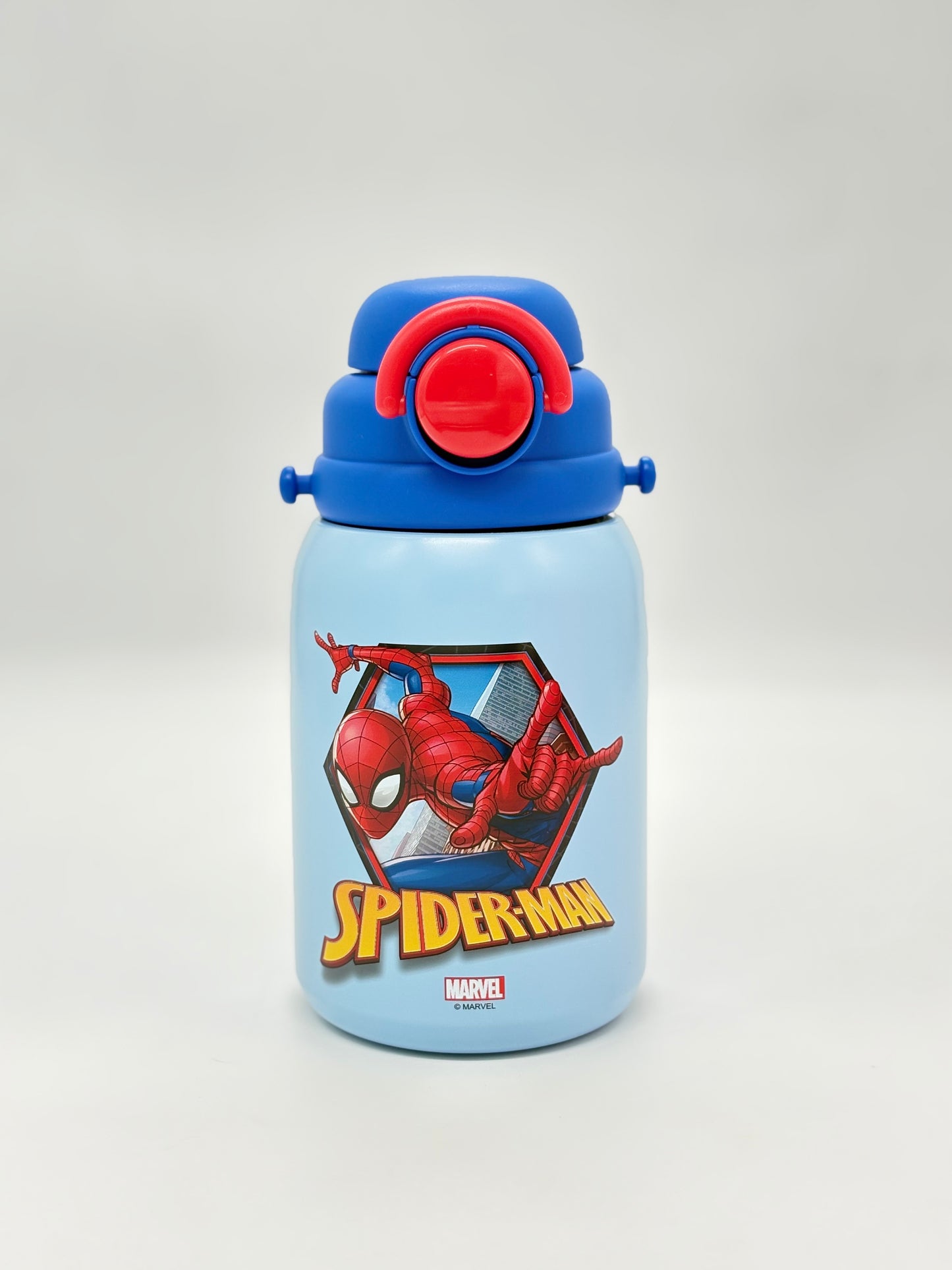 Insulated Stainless Steel Sipper Bottle - 800 ml