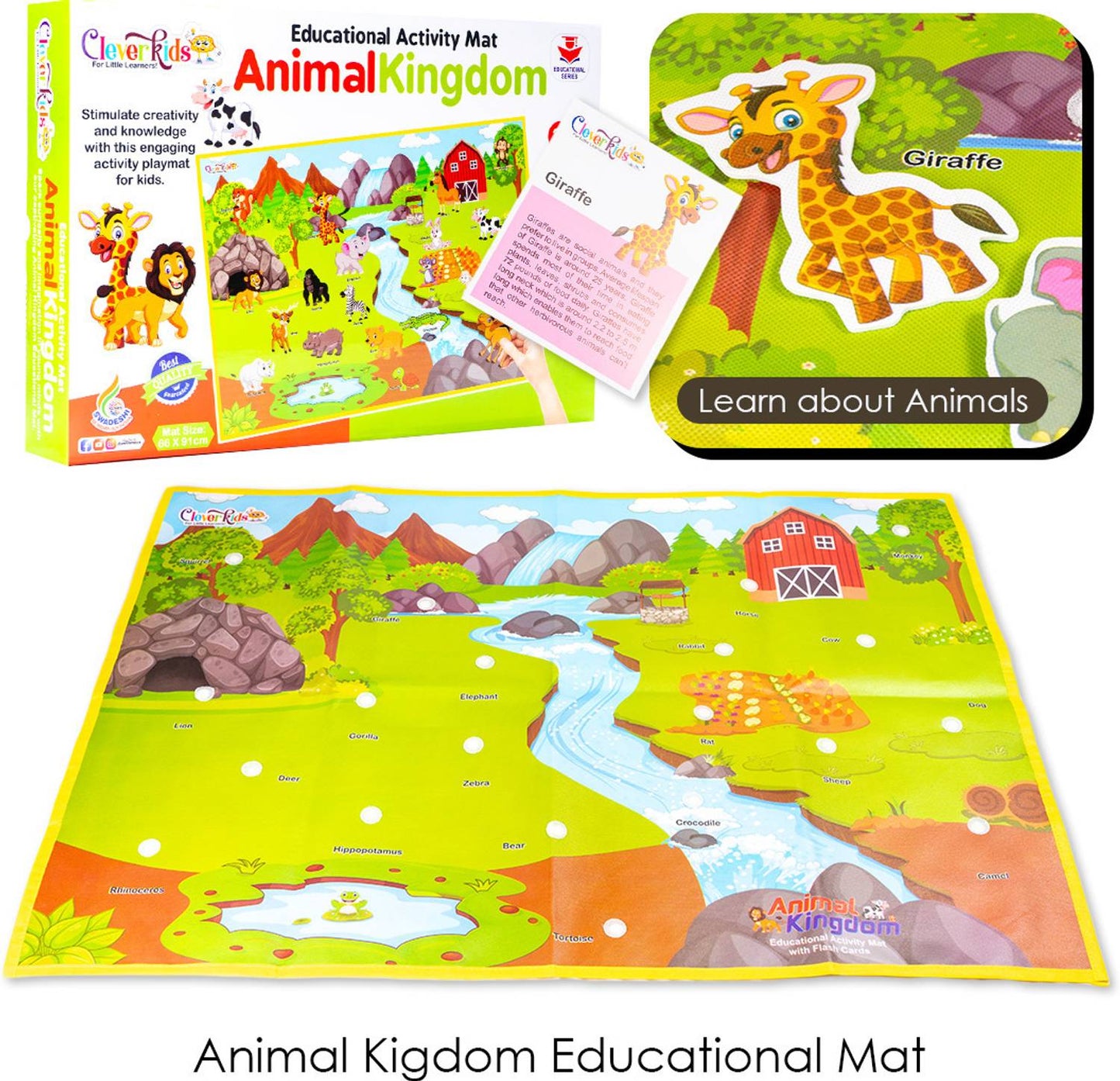 Animal Kingdom Activity Mat