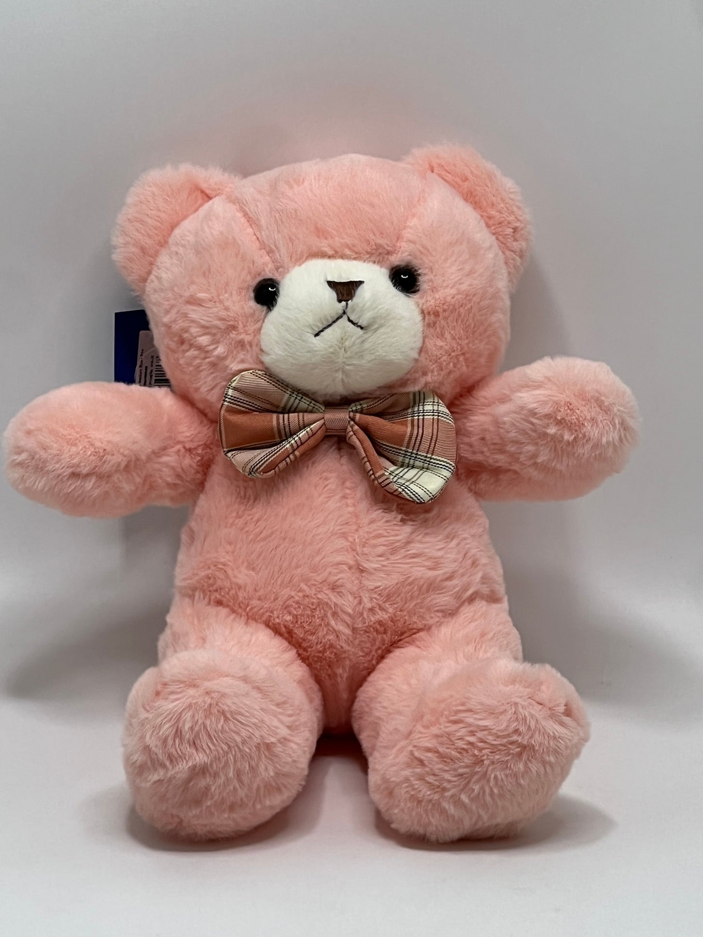 Teddy with Bow Medium Size Soft Toy