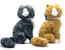 Cat Soft Toy