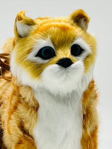 CG Electronic Realistic Walking & Meowing Cat Plush Toy with Leash