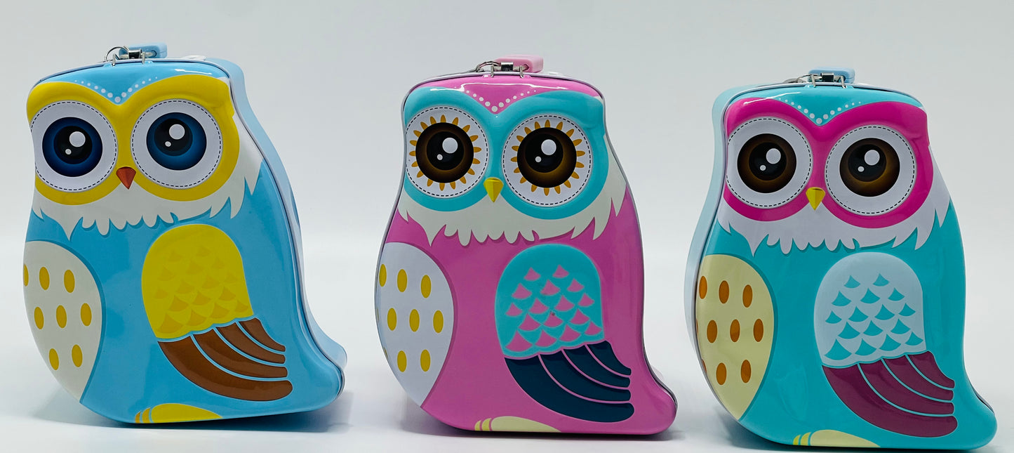 Owl Metal Piggy Bank with Lock & Key