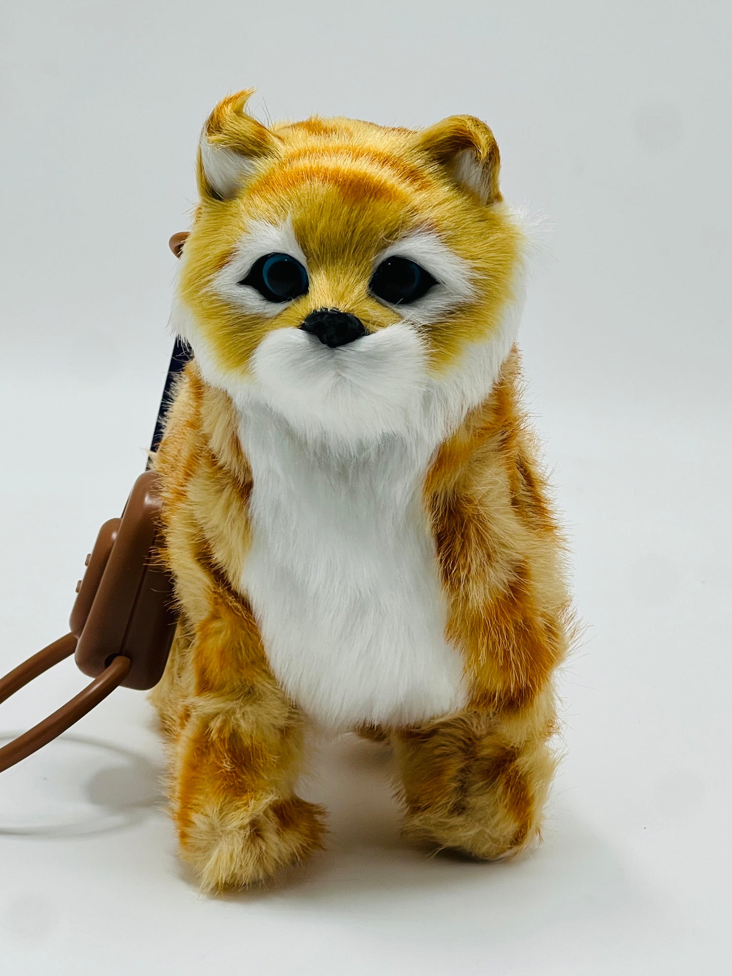 CG Electronic Realistic Walking & Meowing Cat Plush Toy with Leash