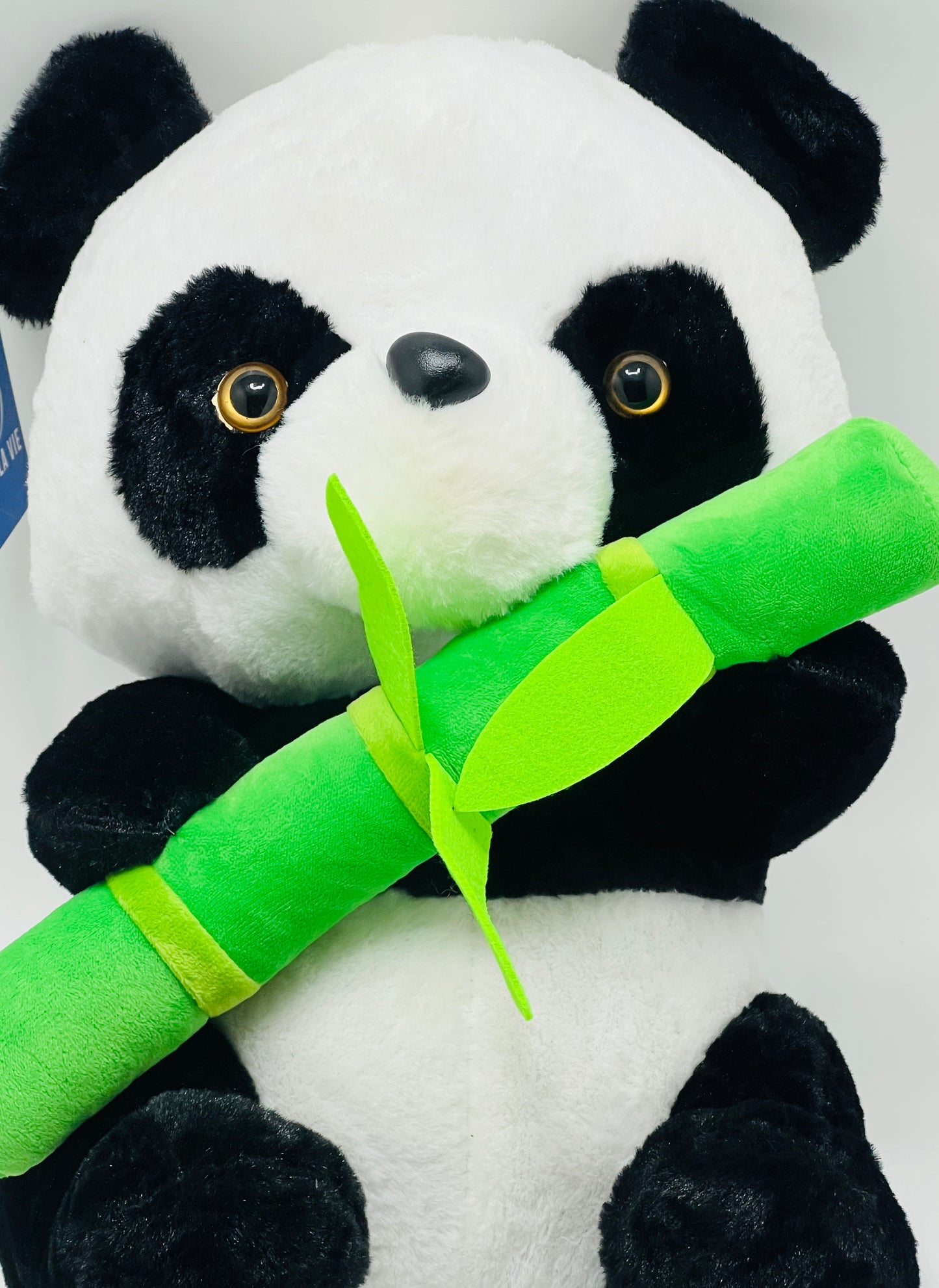 Plant Panda 45cm