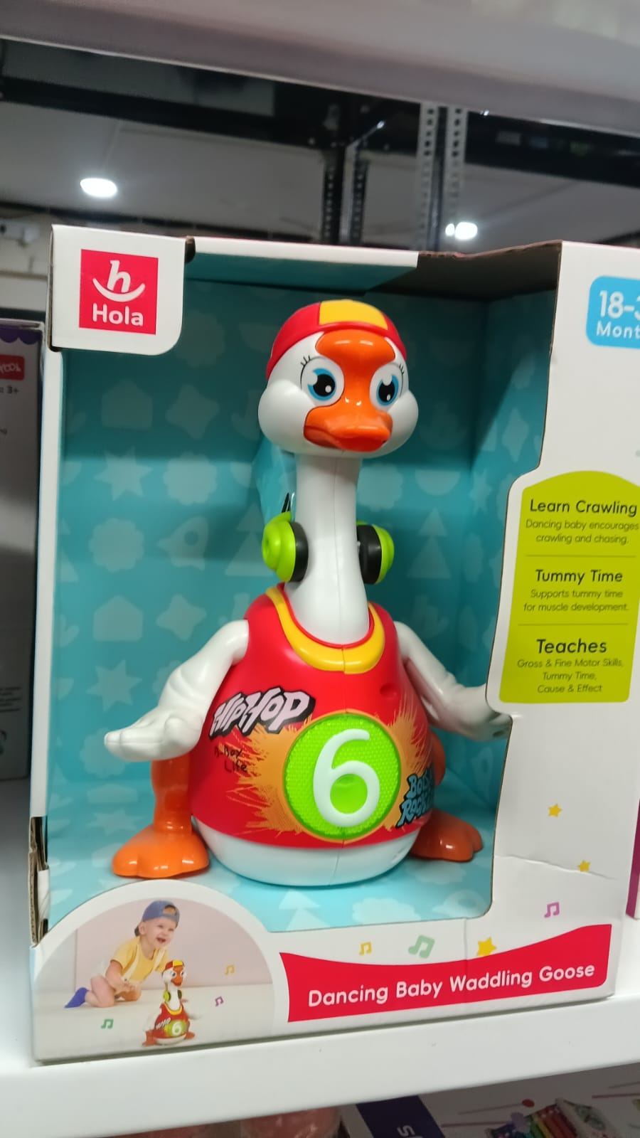 EUPHORIA Rk Toys New Duck Dancing Hip Hop Musical Goose with Interactive Function, Music and Lights Toy for Kids,, Multi