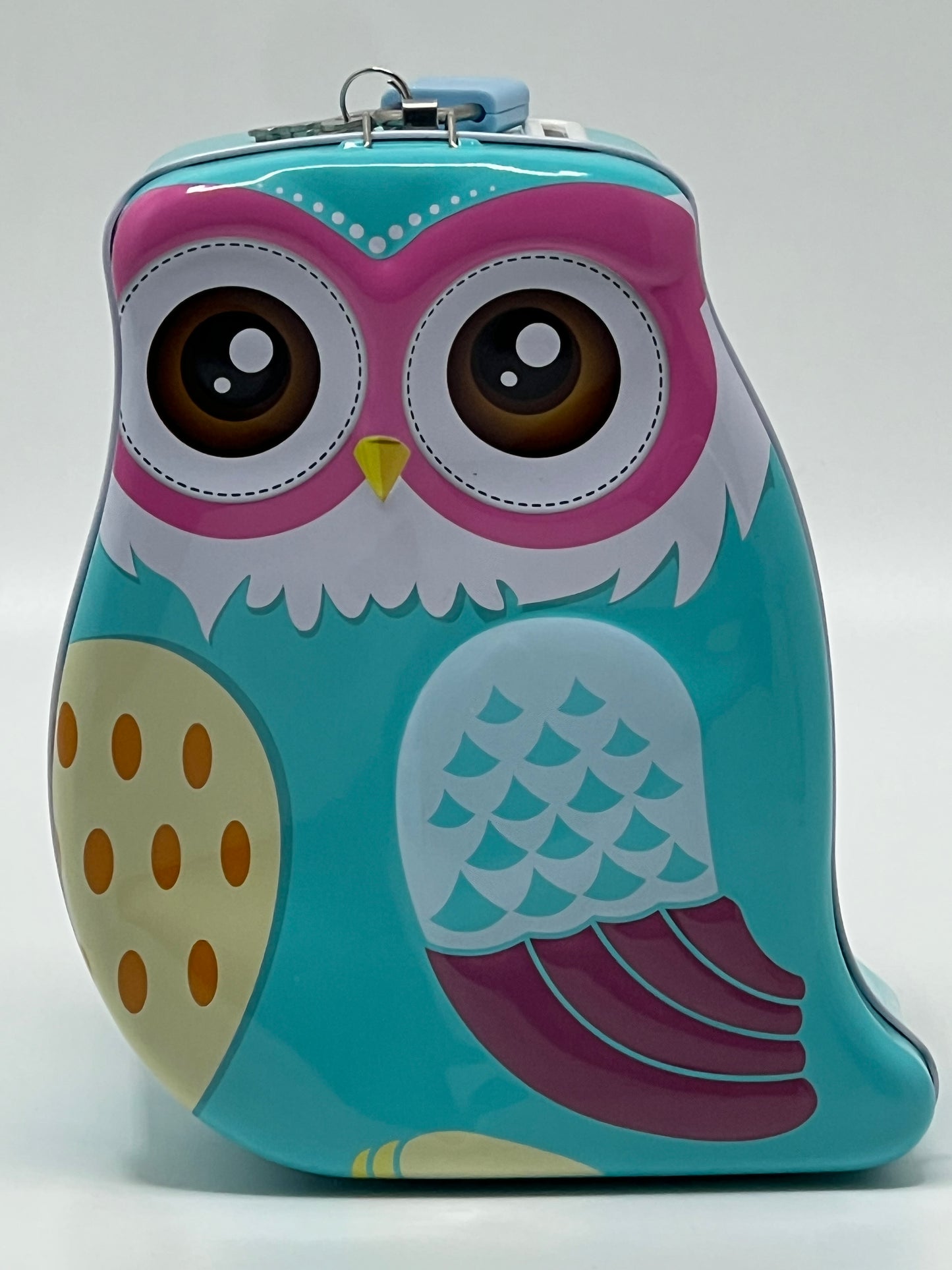 Owl Metal Piggy Bank with Lock & Key