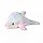 AVSHUB Soft Toys Dolphin Plush Pillow Rainbow for Kids Animal Cute Lovely Cartoon Lovable Huggable Birthday Gift Babies for New Born, Girls, Boy, Home Decor (Size 35 cm) 11Buy24-Multi Dolphin-35cm