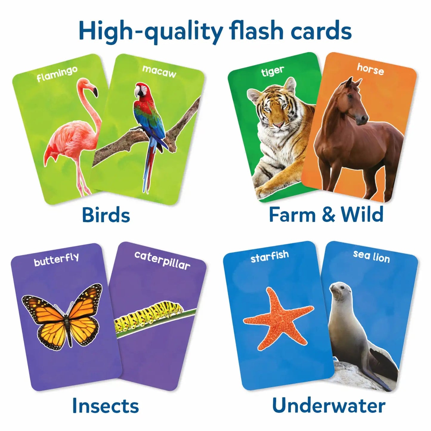 Skillmatics First 100 Animals Flash Card