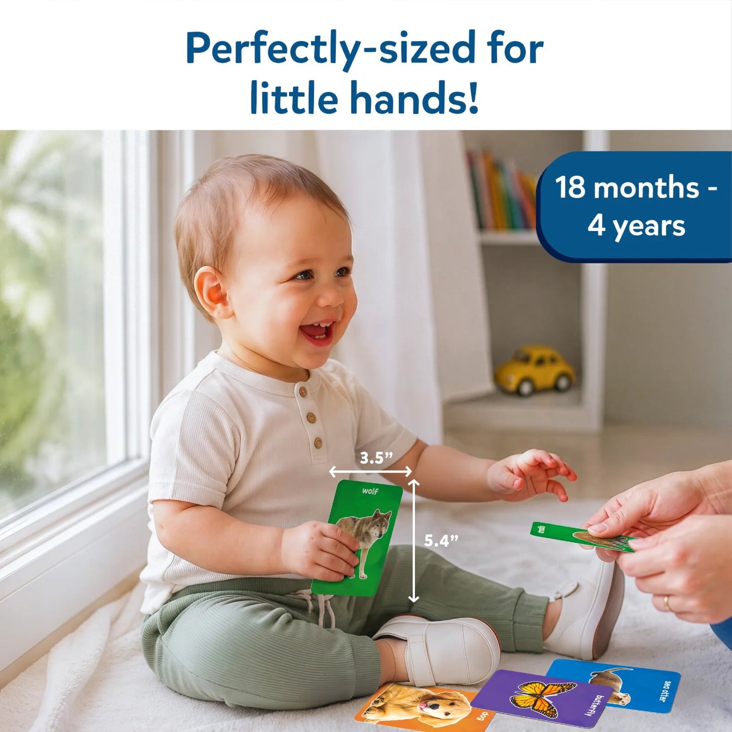 Skillmatics First 100 Animals Flash Card