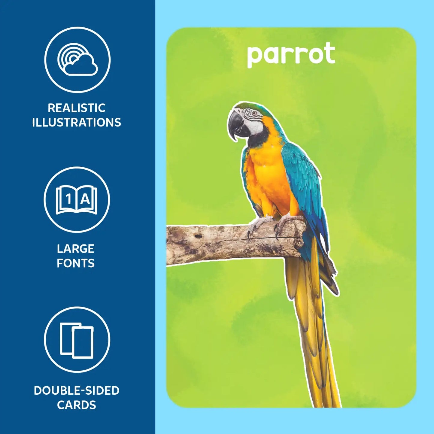Skillmatics First 100 Animals Flash Card