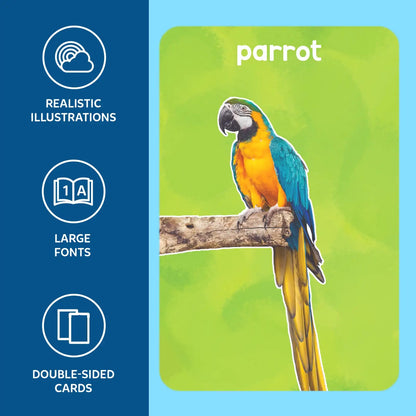Skillmatics First 100 Animals Flash Card