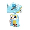 WISHKEY Cute & Colorful Owl Shaped Metal Piggy Bank with Secure Lock & Keys for Kids, Attractive Bird Themed Money Saving Storage, Coin Collection Box for Girls, Children (Pack of 1, Multicolor)
